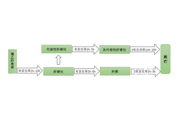 中國系全球乙肝病毒中高度流行區(qū)，用藥市場規(guī)模大（附報告目錄）