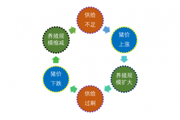 生豬養(yǎng)殖行業(yè)發(fā)展受益于三大有利驅(qū)動(dòng)因素（附報(bào)告目錄）