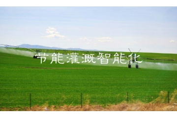農(nóng)田灌溉智能化行業(yè)趨勢(shì)及風(fēng)險(xiǎn)特性（附報(bào)告目錄）
