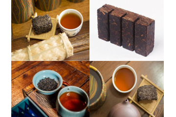 藏茶行業(yè)發(fā)展現(xiàn)狀及進入該行業(yè)的壁壘（附報告目錄）