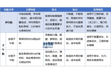 綠色智造與新勢(shì)力崛起：2025-2031年簾子布行業(yè)顛覆性機(jī)