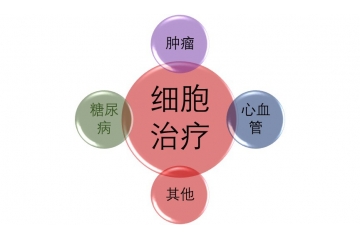 細胞治療行業(yè)一波三折仍不斷發(fā)展中（附報告目錄）