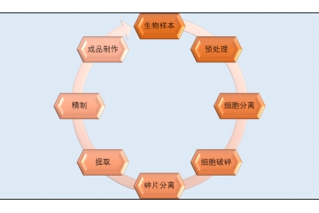 生物科學(xué)儀器行業(yè)應(yīng)用前景分析（附報(bào)告目錄）