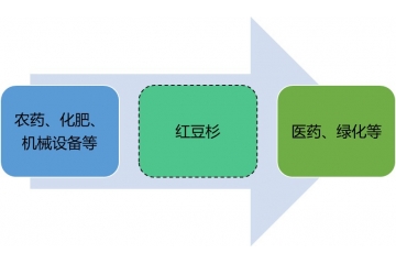 抗腫瘤原料之紅豆杉行業(yè)競爭情況與趨勢分析（附報(bào)告目錄）