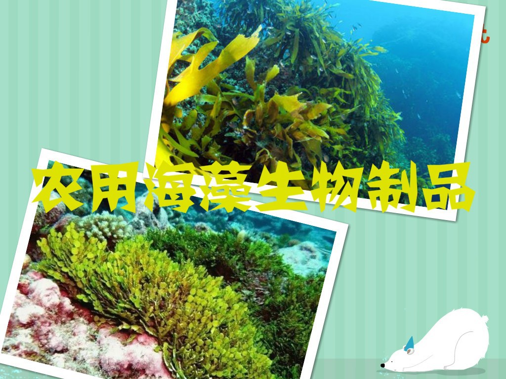 農(nóng)用海藻生物制品行業(yè)發(fā)展趨勢(shì)與前景分析（附報(bào)告目錄）(圖1)