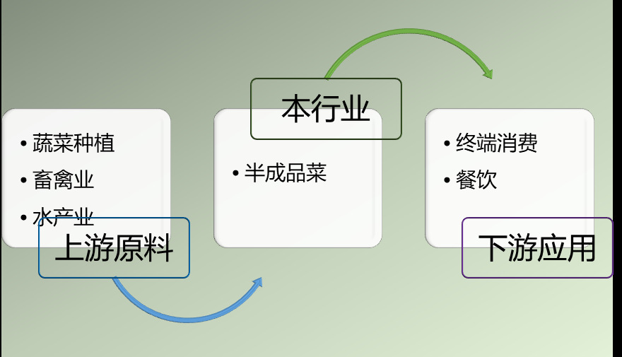 2020-2026年半成品菜行業(yè)市場調查與前景預測報告(圖1)